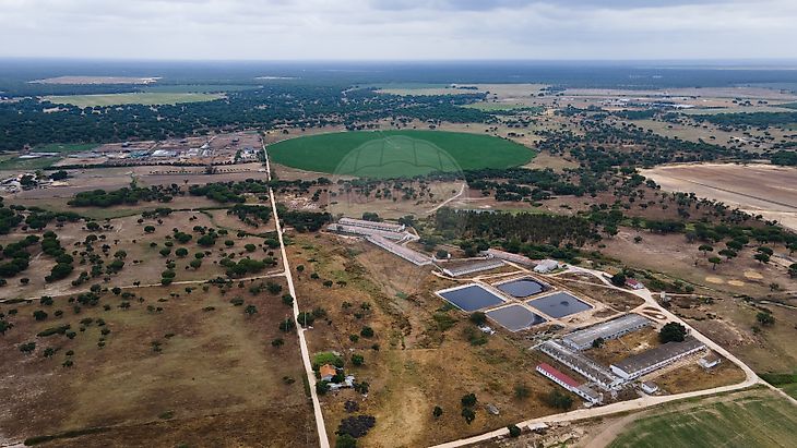Terreno em Palmela com 16 562 ha